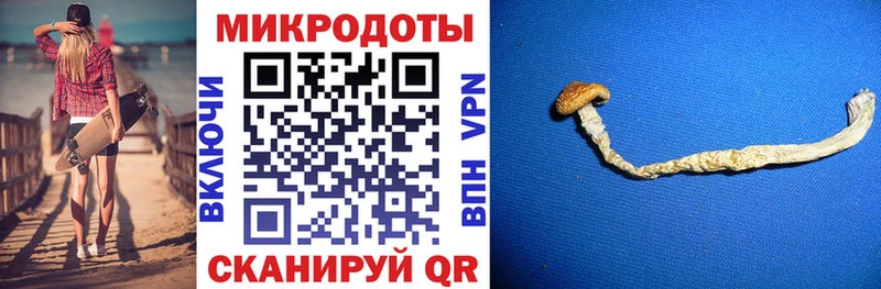 купить наркотики сайты  Махачкала  Галлюциногенные грибы Magic Shrooms 